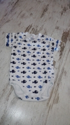  Bild: ./temp/tine/IMG_20161101_165810.jpg.prevbig 